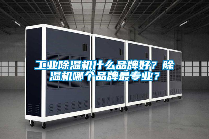 工業(yè)除濕機什么品牌好？除濕機哪個品牌最專業(yè)<div   id=