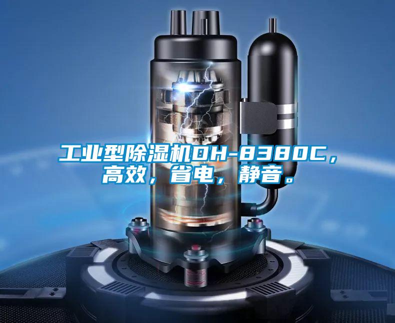 工業(yè)型除濕機(jī)DH-8380C<div   id=