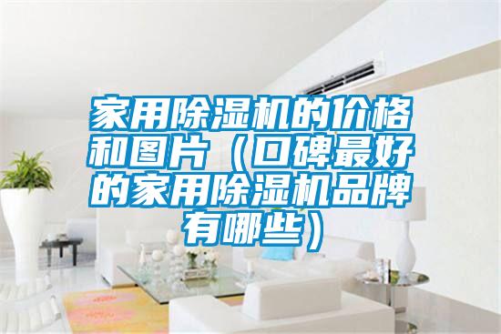家用除濕機(jī)的價(jià)格和圖片(口碑最好的家用除濕機(jī)品牌有哪些)