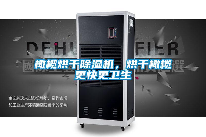 橄欖烘干除濕機(jī),烘干橄欖更快更衛(wèi)生