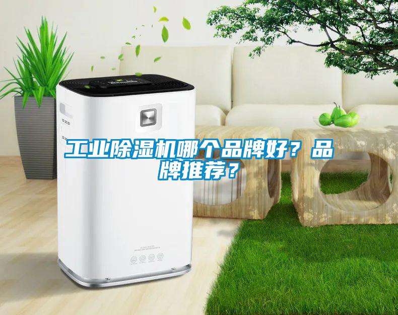 工業(yè)除濕機(jī)哪個(gè)品牌好？品牌推薦<div   id=