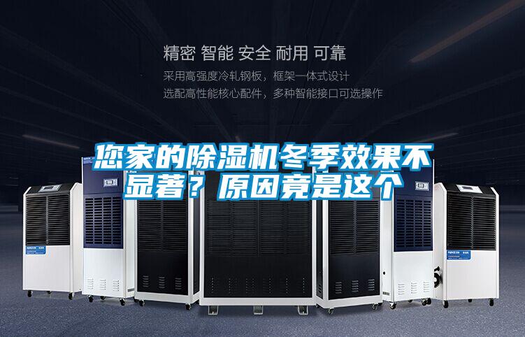 您家的除濕機冬季效果不顯著<div   id=