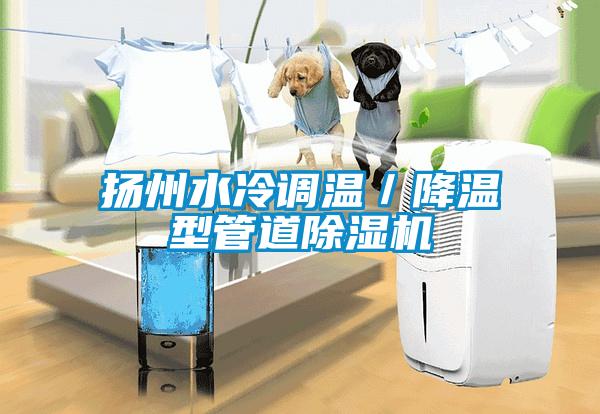 揚(yáng)州水冷調(diào)溫/降溫型管道除濕機(jī)