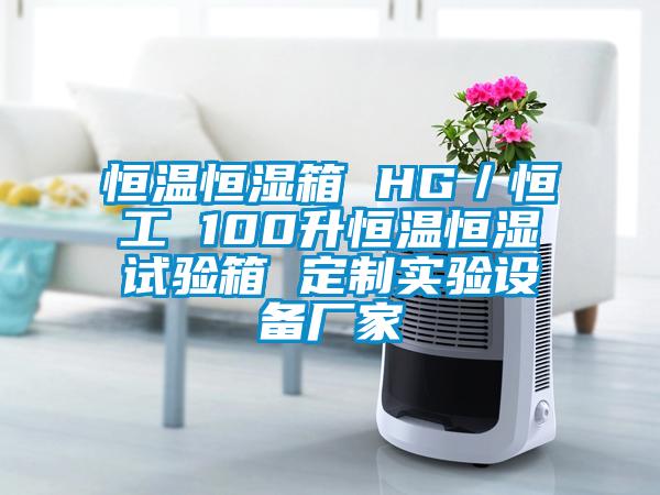 恒溫恒濕箱 HG/恒工 100升恒溫恒濕試驗(yàn)箱 定制實(shí)驗(yàn)設(shè)備廠家