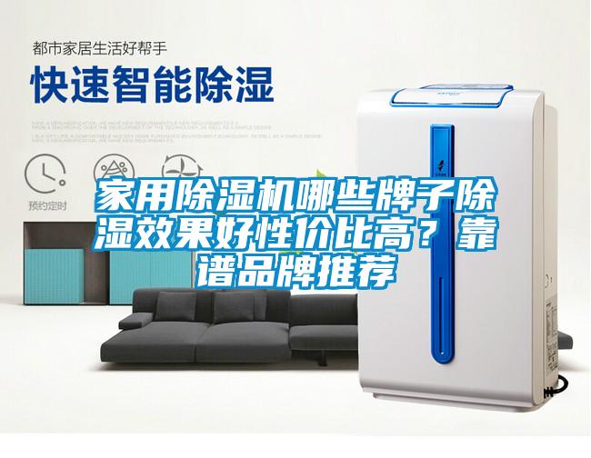 家用除濕機(jī)哪些牌子除濕效果好性價(jià)比高<div   id=