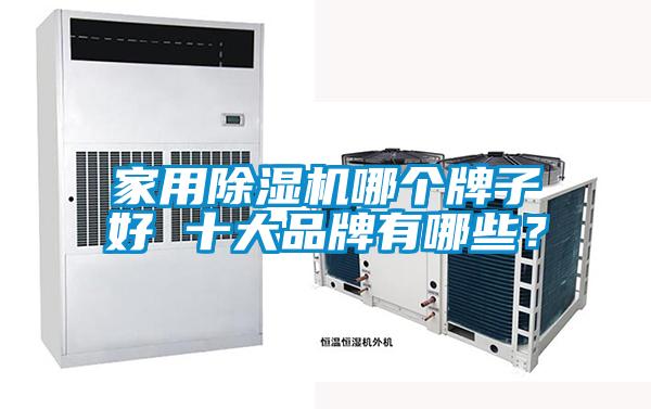 家用除濕機(jī)哪個(gè)牌子好 十大品牌有哪些<div   id=