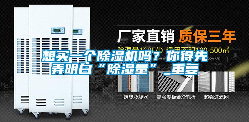 想買(mǎi)一個(gè)除濕機(jī)嗎<div   id=