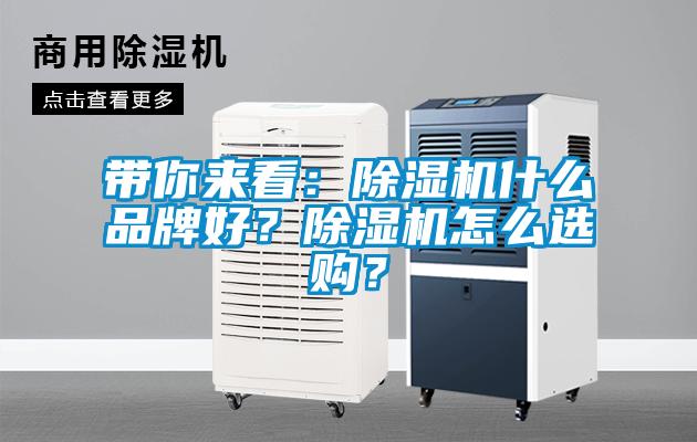 帶你來看：除濕機(jī)什么品牌好<div   id=