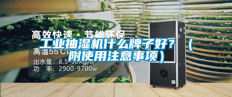 工業(yè)抽濕機什么牌子好<div   id=