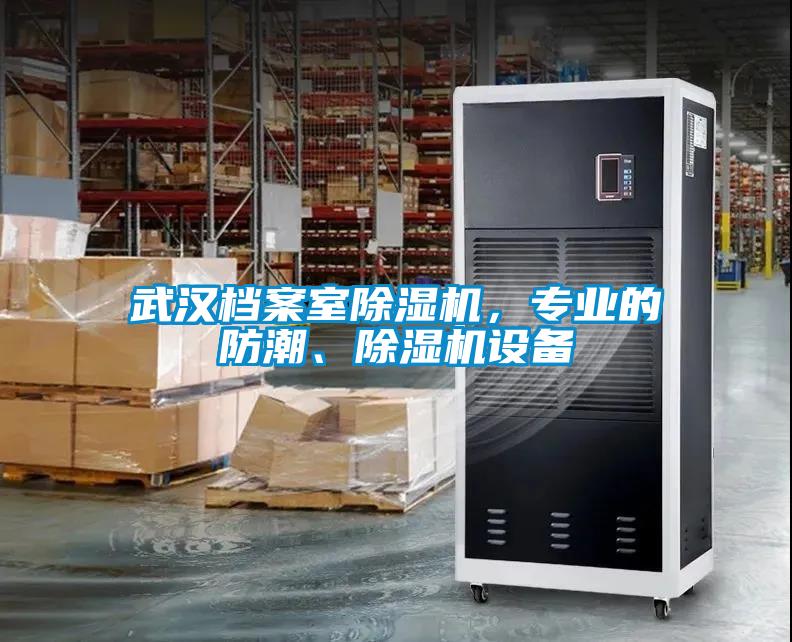 武漢檔案室除濕機<div   id=