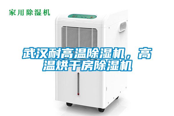 武漢耐高溫除濕機<div   id=