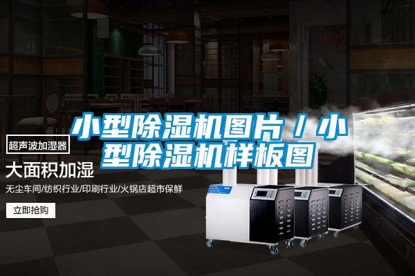 小型除濕機圖片/小型除濕機樣板圖