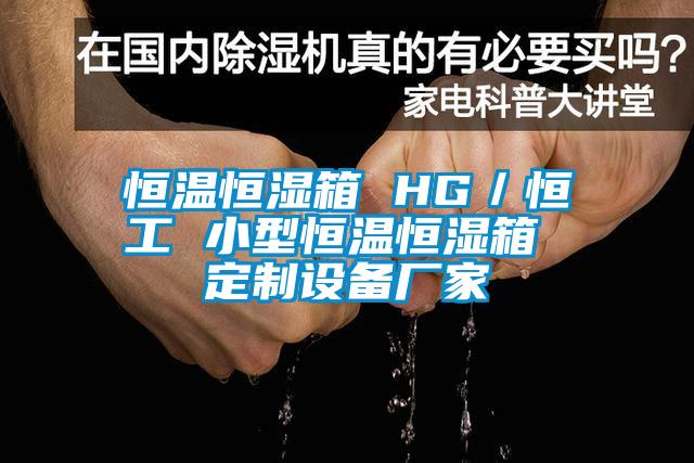 恒溫恒濕箱 HG/恒工 小型恒溫恒濕箱 定制設(shè)備廠家