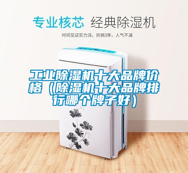 工業(yè)除濕機(jī)十大品牌價(jià)格(除濕機(jī)十大品牌排行哪個(gè)牌子好)