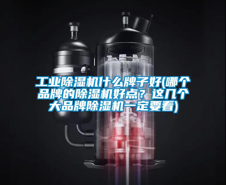 工業(yè)除濕機(jī)什么牌子好(哪個(gè)品牌的除濕機(jī)好點(diǎn)<div   id=