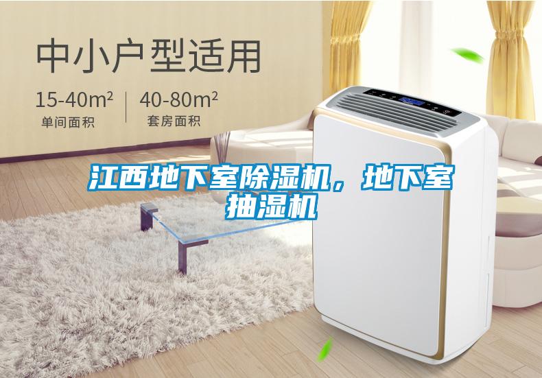 江西地下室除濕機(jī)<div   id=