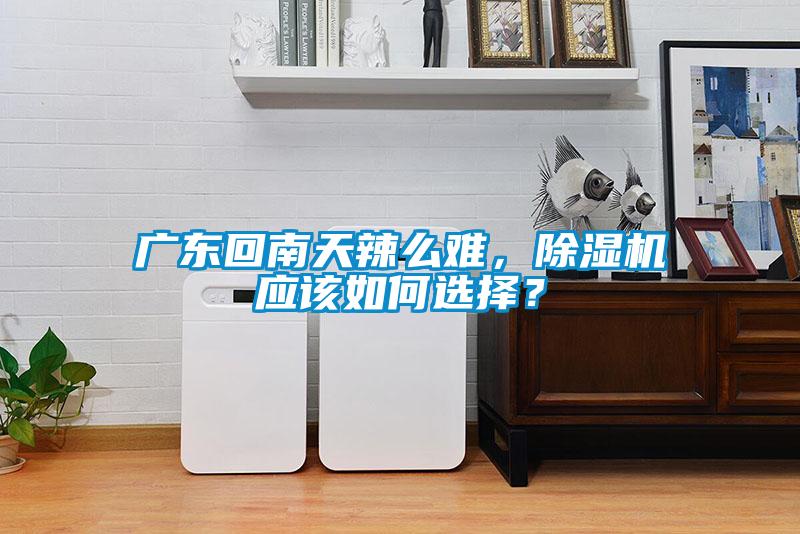 廣東回南天辣么難，除濕機(jī)應(yīng)該如何選擇<div   id=