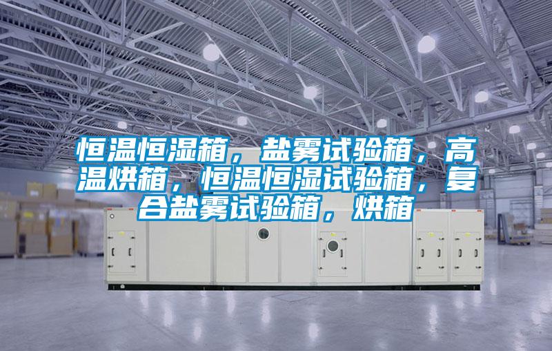 恒溫恒濕箱，鹽霧試驗箱<div   id=