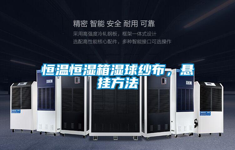 恒溫恒濕箱濕球紗布<div   id=