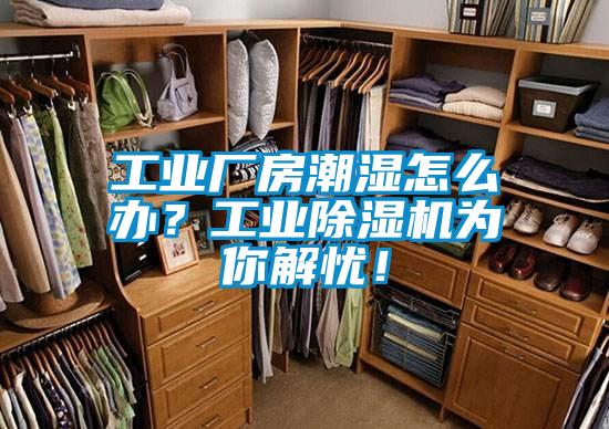 工業(yè)廠房潮濕怎么辦？工業(yè)除濕機為你解憂<div   id=