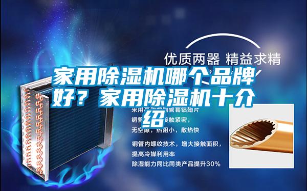 家用除濕機(jī)哪個(gè)品牌好<div   id=
