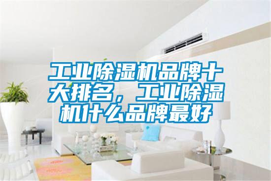 工業(yè)除濕機品牌十大排名<div   id=