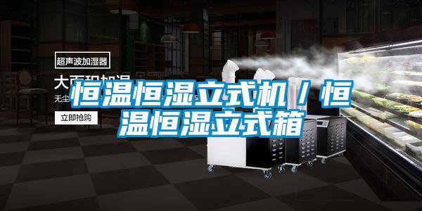 恒溫恒濕立式機/恒溫恒濕立式箱