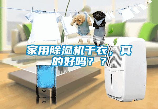 家用除濕機干衣<div   id=
