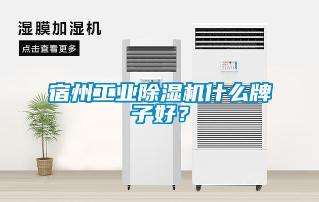 宿州工業(yè)除濕機(jī)什么牌子好<div   id=