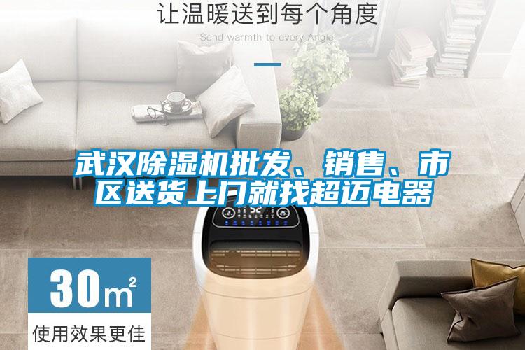 武漢除濕機批發(fā)、銷售<div   id=