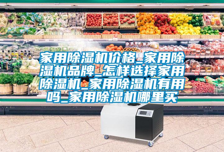 家用除濕機(jī)價(jià)格_家用除濕機(jī)品牌_怎樣選擇家用除濕機(jī)_家用除濕機(jī)有用嗎_家用除濕機(jī)哪里買(mǎi)