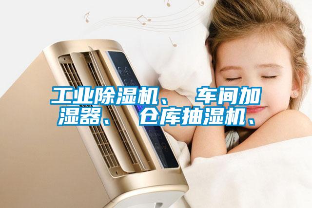 工業(yè)除濕機<div   id=