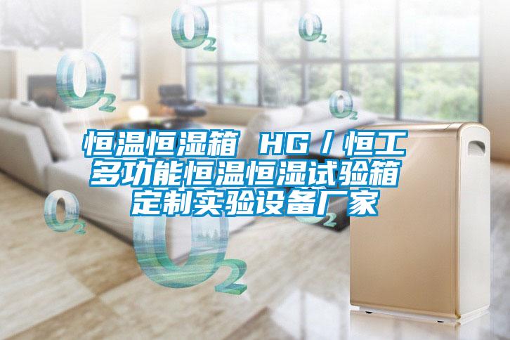 恒溫恒濕箱 HG／恒工 多功能恒溫恒濕試驗(yàn)箱 定制實(shí)驗(yàn)設(shè)備廠(chǎng)家