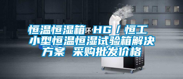 恒溫恒濕箱 HG/恒工 小型恒溫恒濕試驗箱解決方案 采購批發(fā)價格