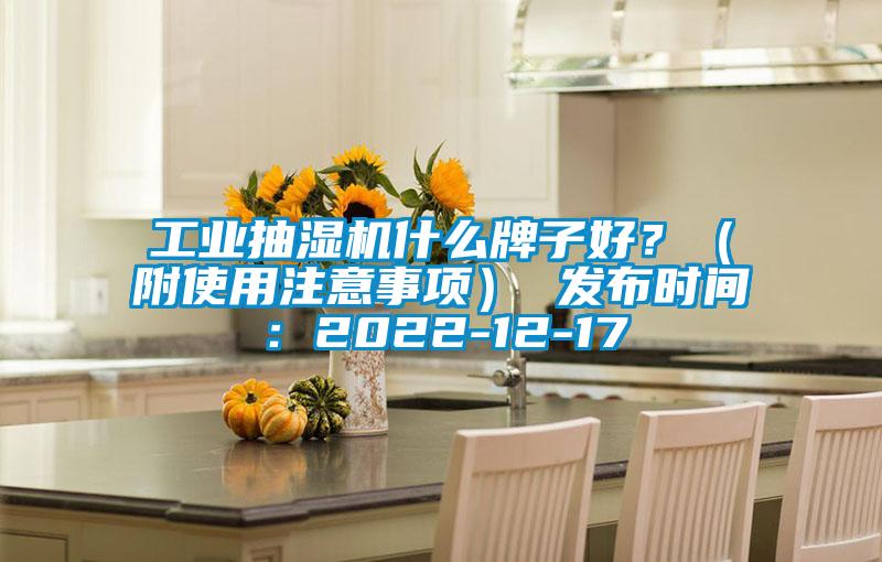 工業(yè)抽濕機什么牌子好<div   id=