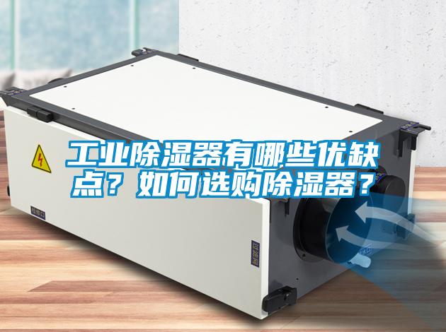 工業(yè)除濕器有哪些優(yōu)缺點<div   id=