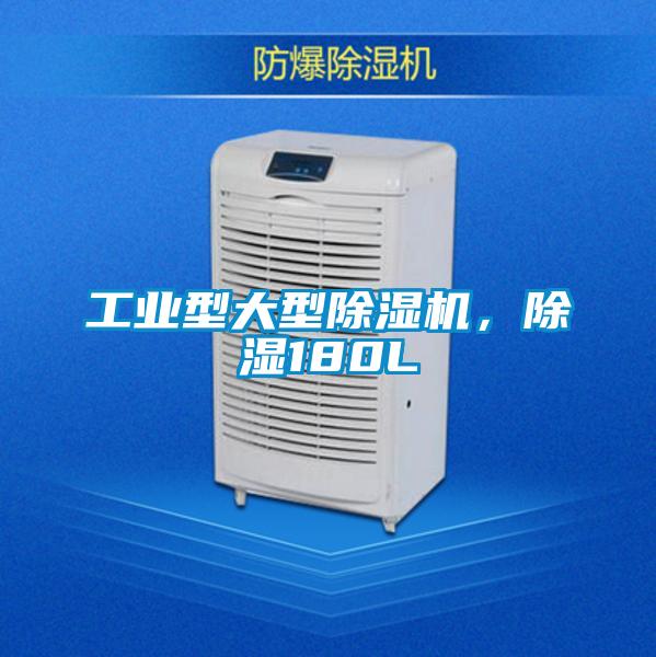 工業(yè)型大型除濕機(jī)<div   id=