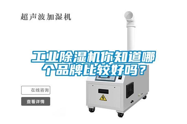 工業(yè)除濕機(jī)你知道哪個(gè)品牌比較好嗎<div   id=