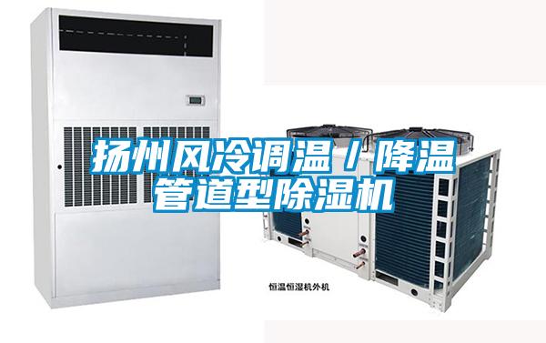 揚(yáng)州風(fēng)冷調(diào)溫/降溫管道型除濕機(jī)