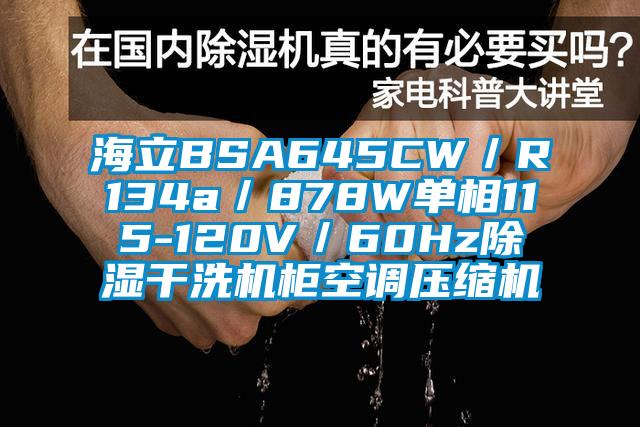 海立BSA645CW/R134a/878W單相115-120V/60Hz除濕干洗機(jī)柜空調(diào)壓縮機(jī)