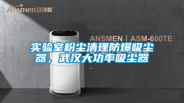 實(shí)驗(yàn)室粉塵清理防爆吸塵器<div   id=