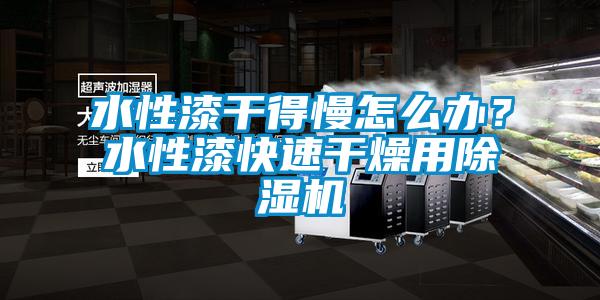 水性漆干得慢怎么辦<div   id=