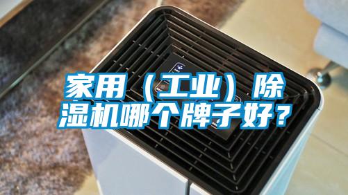 家用（工業(yè)）除濕機(jī)哪個(gè)牌子好<div   id=