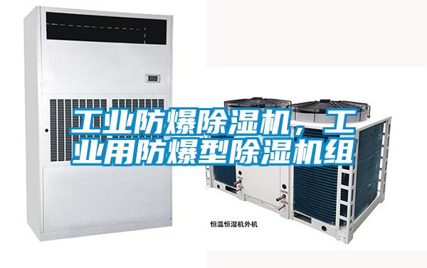 工業(yè)防爆除濕機<div   id=