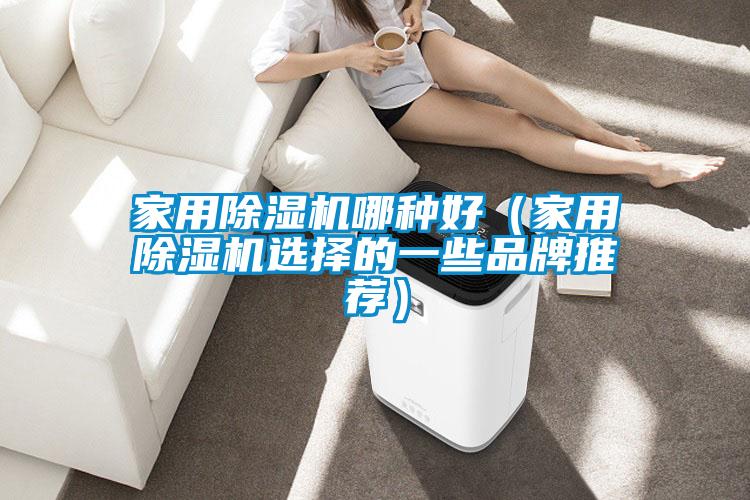 家用除濕機(jī)哪種好(家用除濕機(jī)選擇的一些品牌推薦)