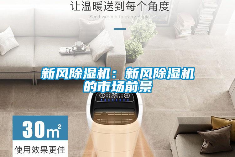 新風(fēng)除濕機(jī):新風(fēng)除濕機(jī)的市場(chǎng)前景