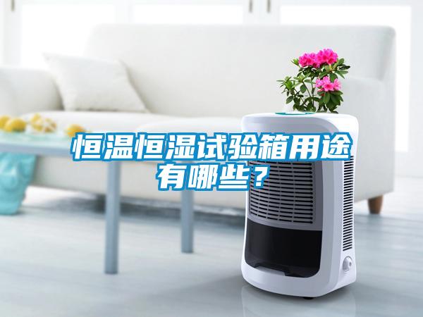 恒溫恒濕試驗(yàn)箱用途有哪些<div   id=