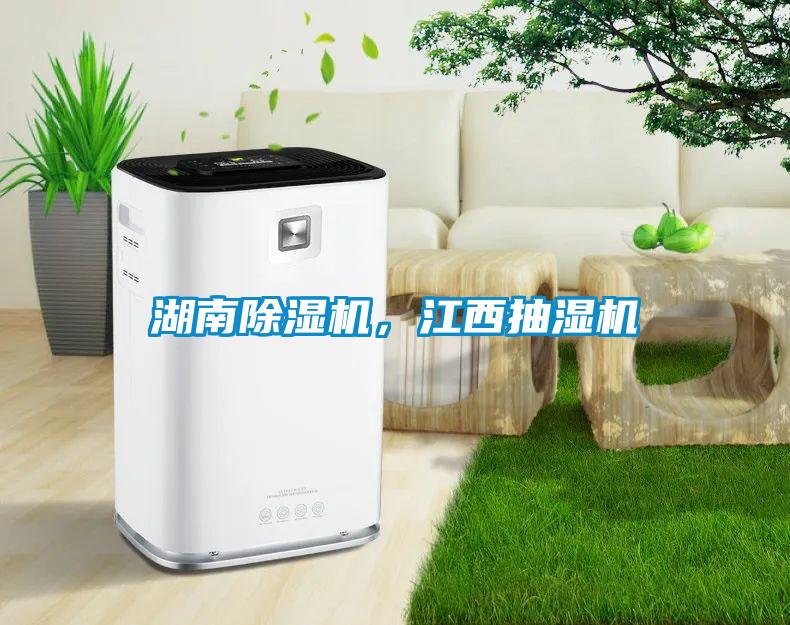 湖南除濕機<div   id=