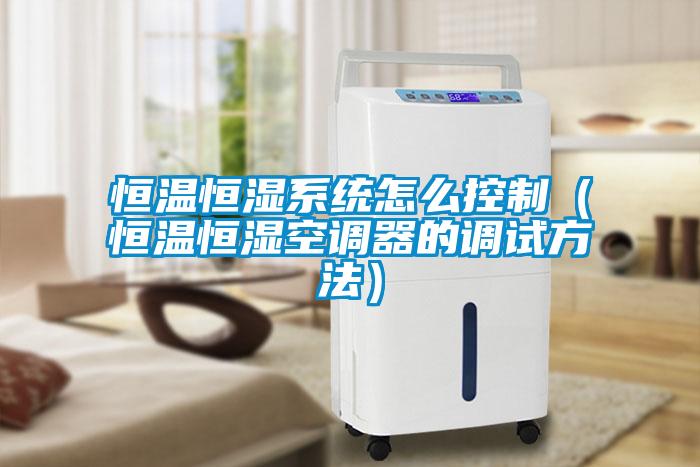 恒溫恒濕系統(tǒng)怎么控制(恒溫恒濕空調器的調試方法)