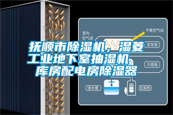 撫順市除濕機(jī)<div   id=